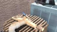 Pool Filter Cleaning