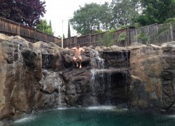 Awesome swimming pool waterfall